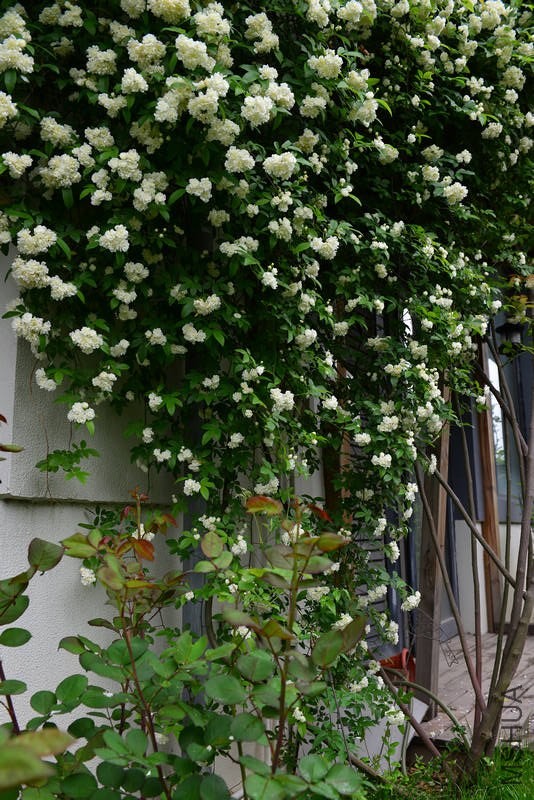 DSC_8577.jpg