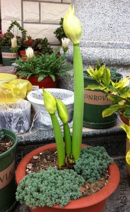 QQͼƬ20140416135750.jpg
