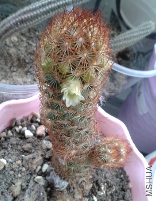 ����ָ����ͼ20140415.jpg