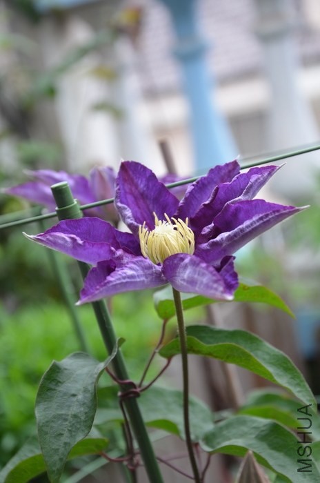 DSC_1997.JPG