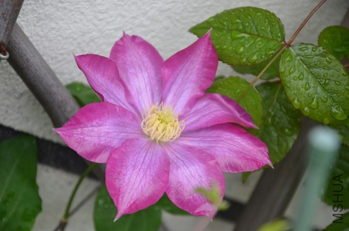 DSC_2004.JPG