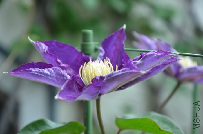 DSC_2013.JPG