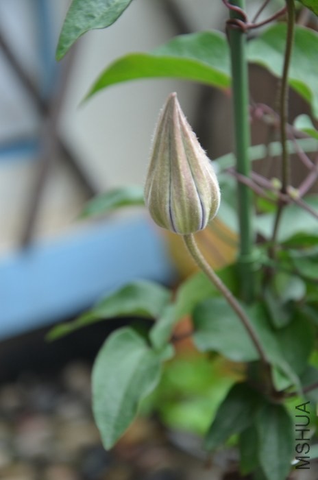 DSC_2014.JPG