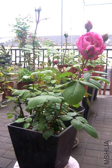 100_2044xx.jpg