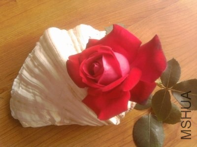 ��Ƭ0315.jpg