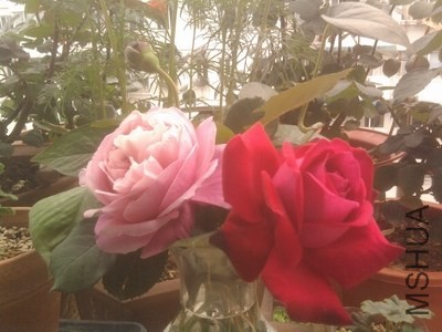 ��Ƭ0322.jpg