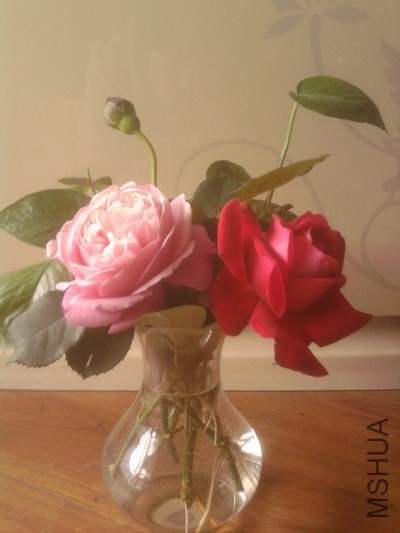 ��Ƭ0321.jpg