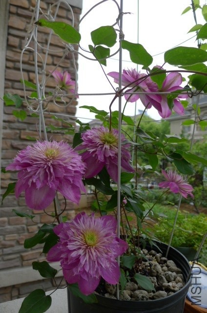 �������ǿ����������켯Ⱥ������
