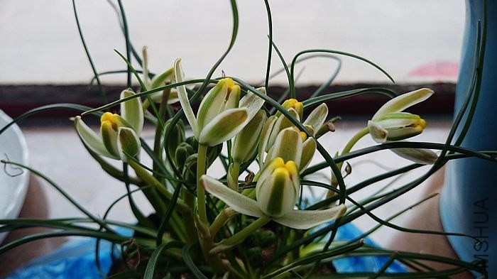 DSC_0082.jpg