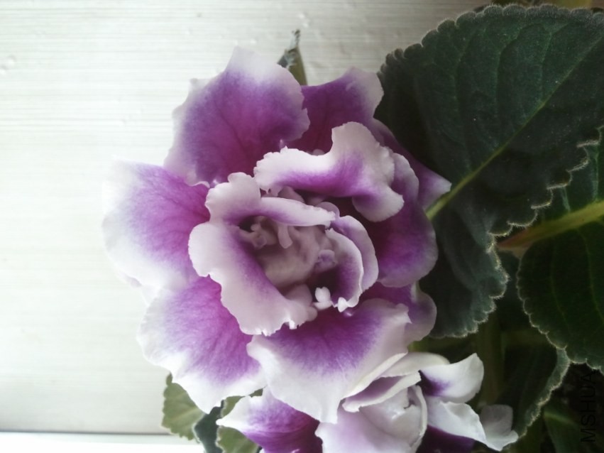 2014-04-12 07.22.41.jpg