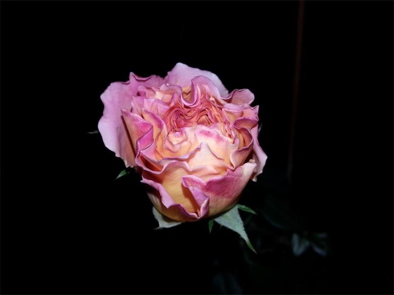 20140322_184248.jpg