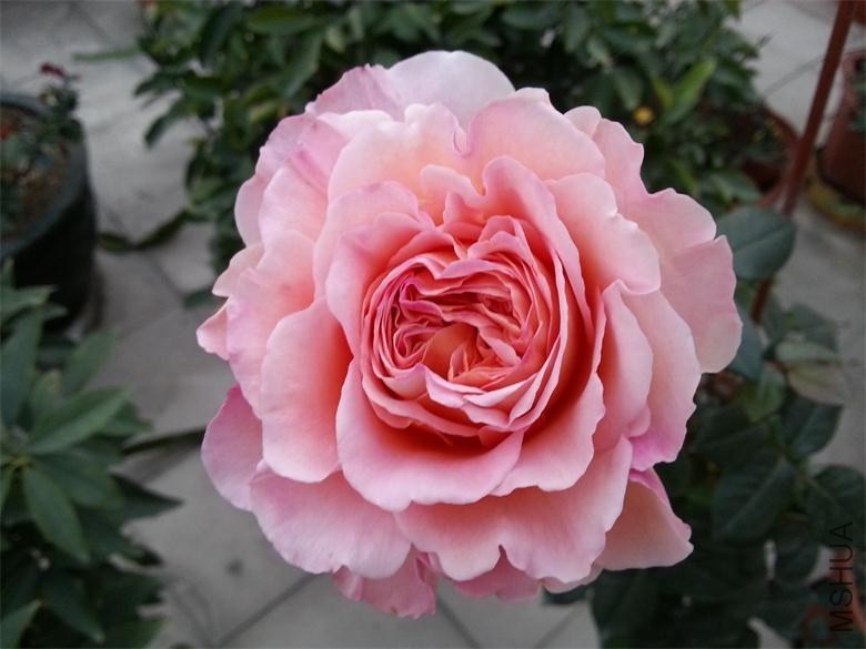 20140323_182833.jpg