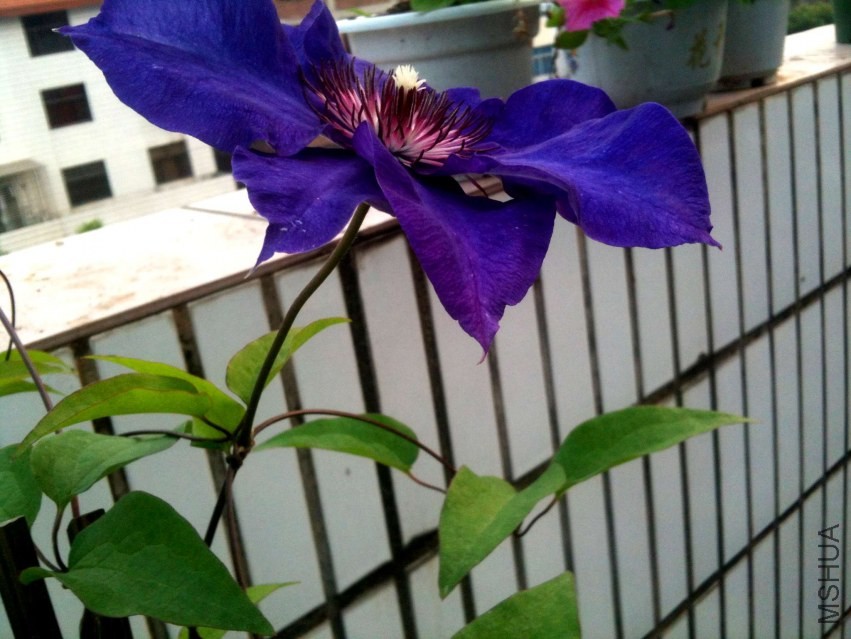 2014-04-17 063302.jpg