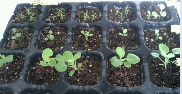 ţ ������.jpg