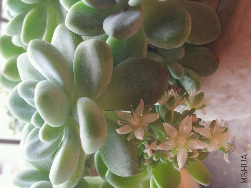 QQͼƬ20140417125523.jpg