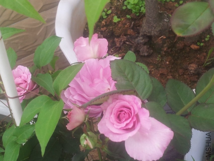 ��������