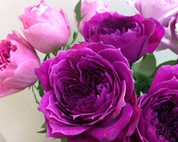 QQͼƬ20140417141226.jpg