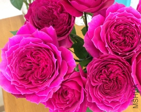 QQͼƬ20140417141130.jpg
