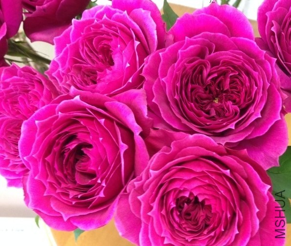 QQͼƬ20140417141157.jpg
