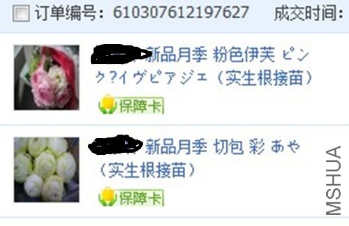 111111_����_����.jpg