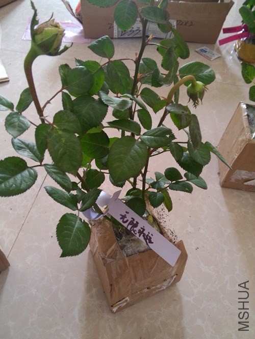 IMG20140417135440_����.jpg