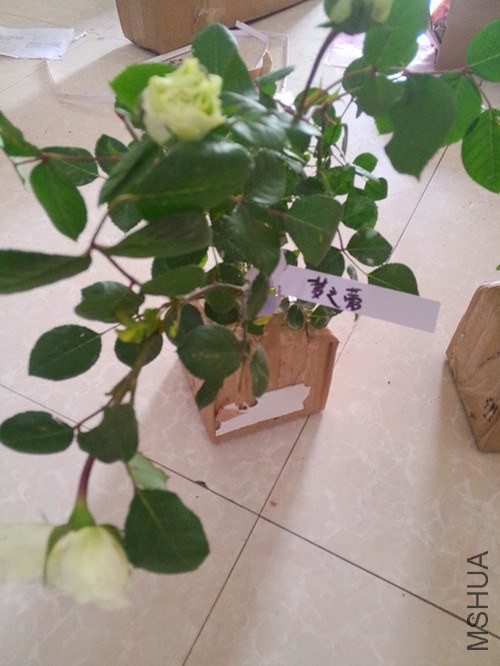 IMG20140417135426_����.jpg