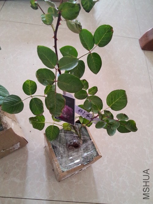 IMG20140417135503_����.jpg