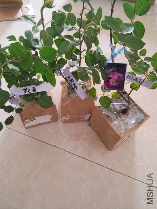 IMG20140417135527_����.jpg