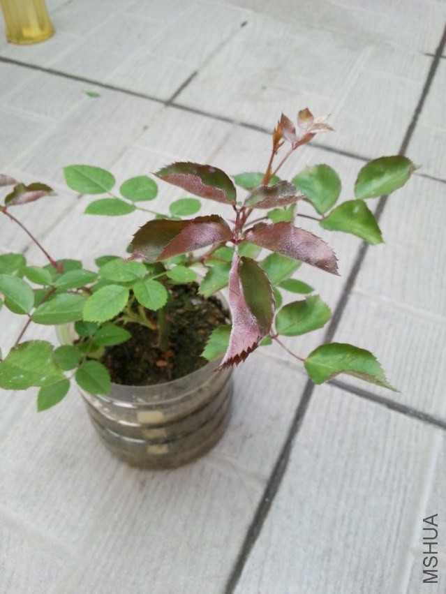 QQͼƬ20140417143327.jpg