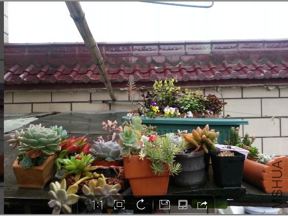 QQͼƬ20140416175605.jpg