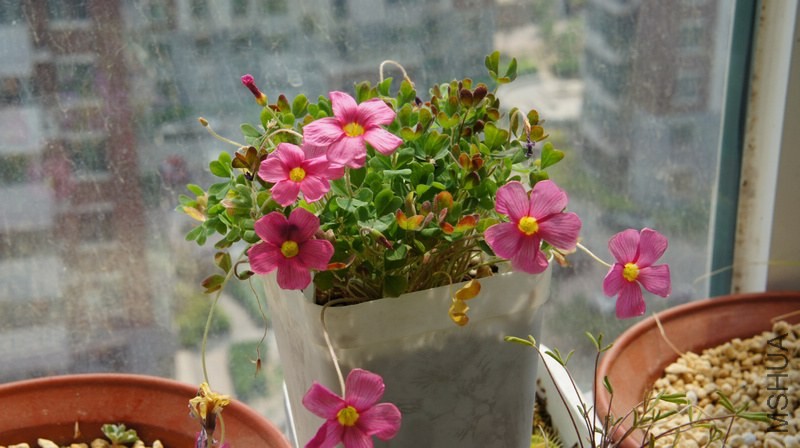 DSC05643.jpg