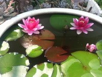 IMG_1666_������С.JPG