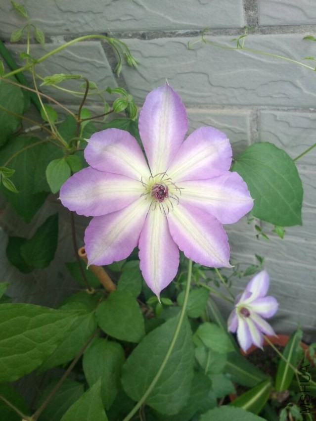 QQͼƬ20140417213157.jpg