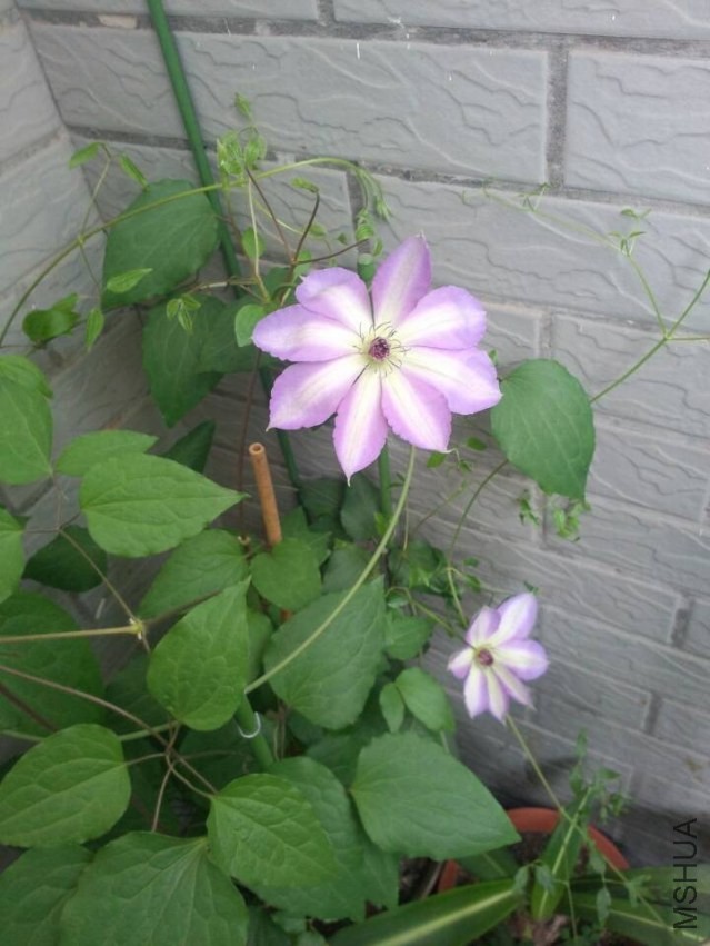 QQͼƬ20140417213201.jpg