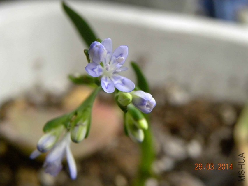 DSCN2170.jpg