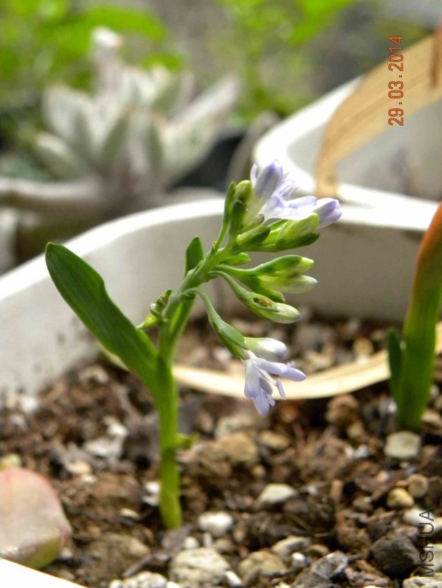 DSCN2172.jpg