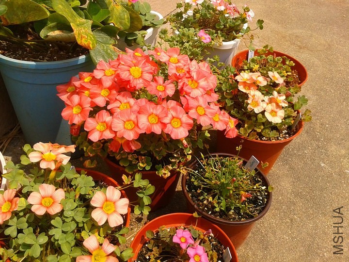 2014-04-09 12.29.52.jpg