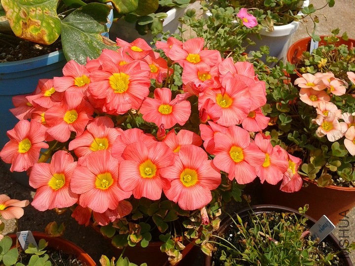 2014-04-09 12.30.40.jpg