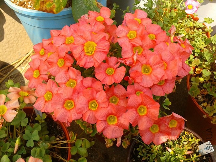 2014-04-09 13.58.54.jpg