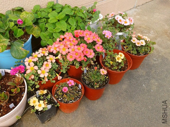 2014-04-07 15.01.48.jpg