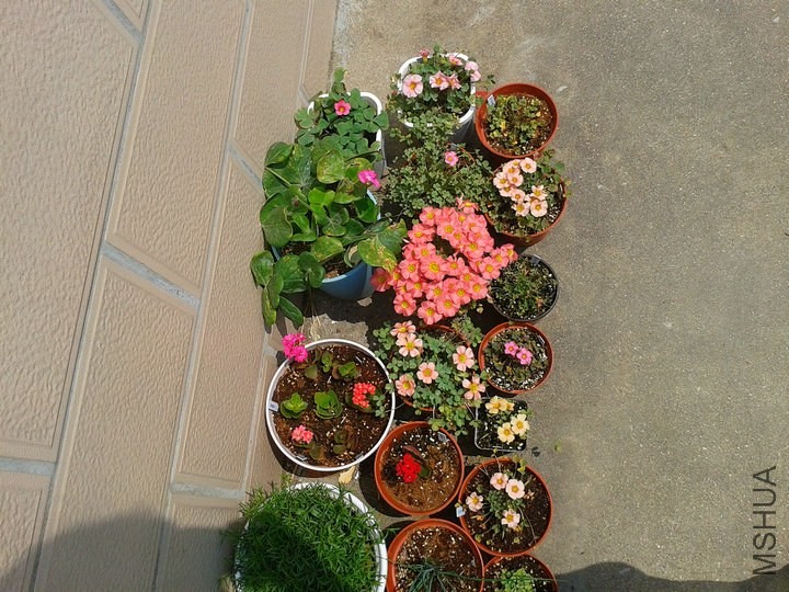 2014-04-09 12.29.39.jpg