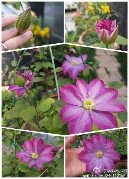 20130413.jpg