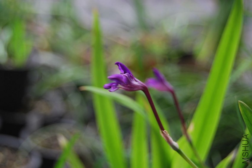 131504rbbav5bwbyw5lgvw.jpg
