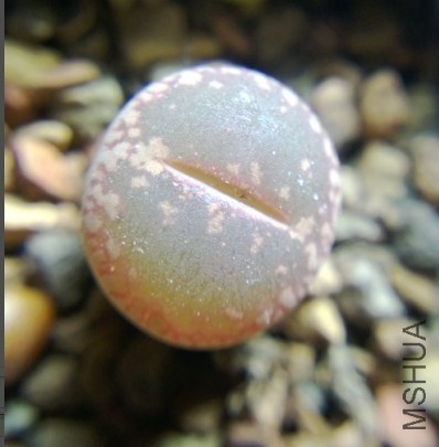 QQͼƬ20140418153623.jpg