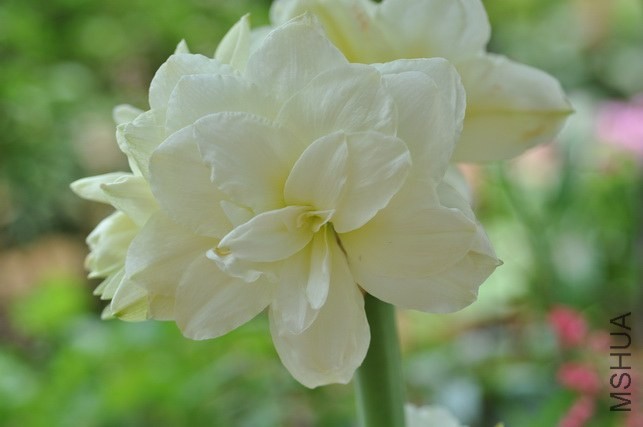DSC_7800_������С.JPG
