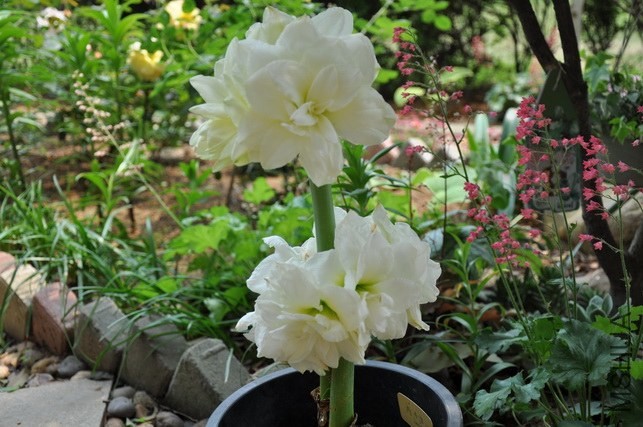 DSC_7806_������С.JPG