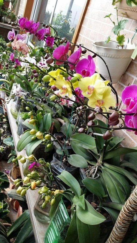 20140413_155851.jpg