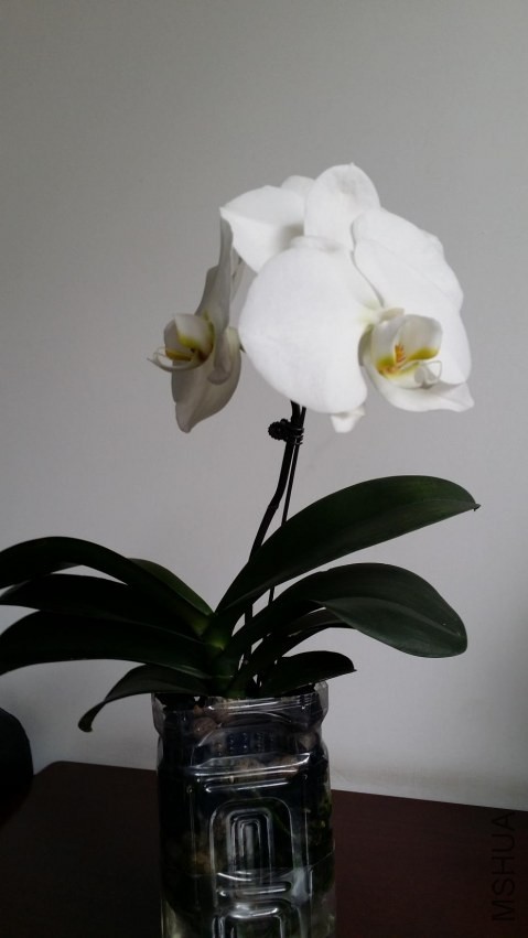 20140402_123317.jpg