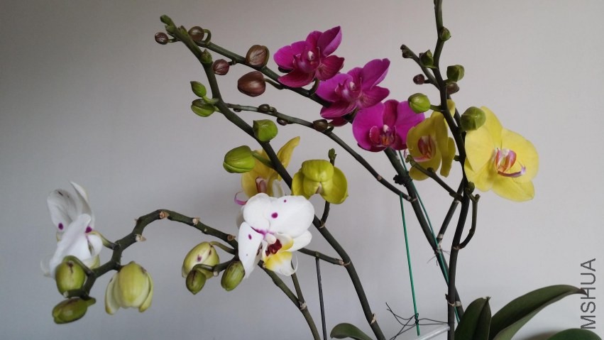 20140405_144937.jpg