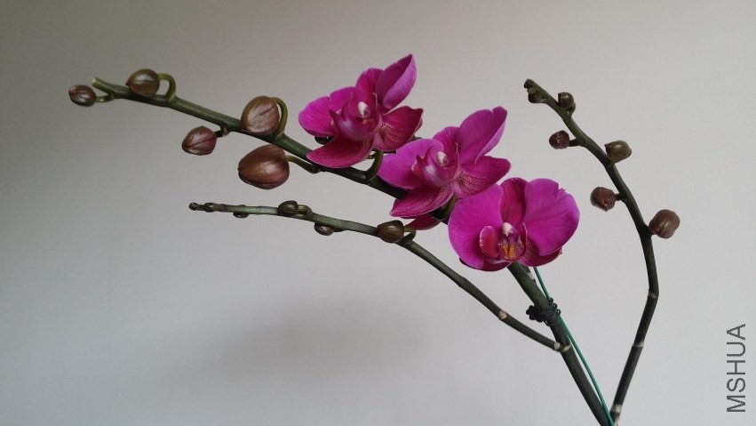20140405_145035.jpg